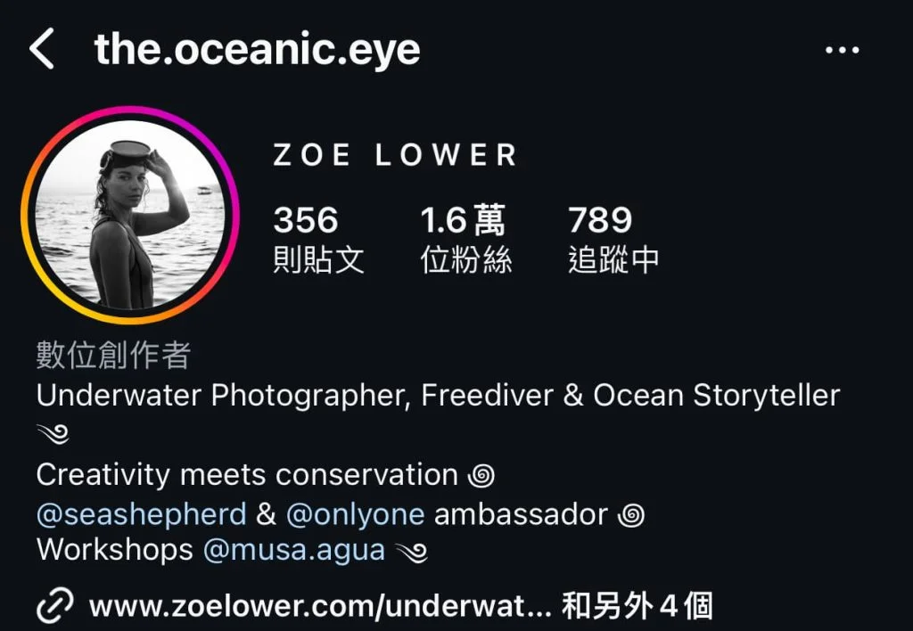 優化 IG 個人檔案與互動技巧